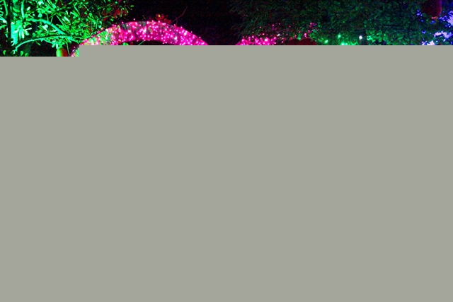 梅花洲银杏季文化节暨古镇梦幻灯光展绚烂开幕(图5) 梅花洲银杏季文化节暨古镇梦幻灯光展绚烂开幕(图5)