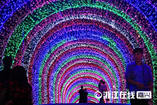 梅花洲银杏季文化节暨古镇梦幻灯光展绚烂开幕(图4) 梅花洲银杏季文化节暨古镇梦幻灯光展绚烂开幕(图4)